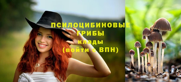 герыч Аркадак