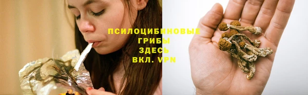 spice Арсеньев