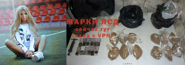 spice Арсеньев