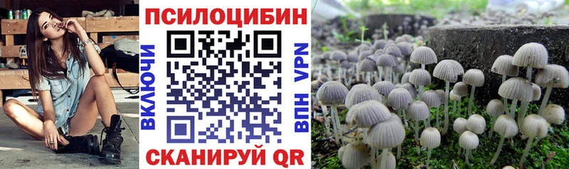 Псилоцибиновые грибы MAGIC MUSHROOMS Крым