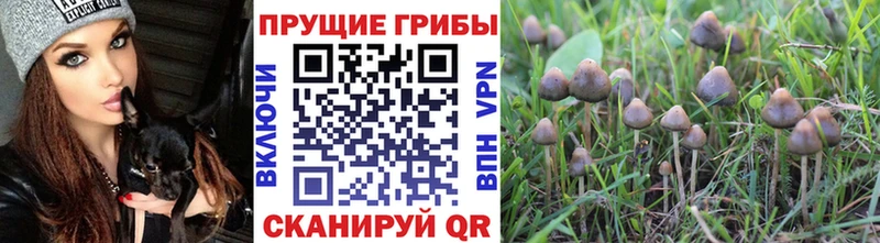 площадка телеграм  Крым  Галлюциногенные грибы ЛСД  купить  сайты 